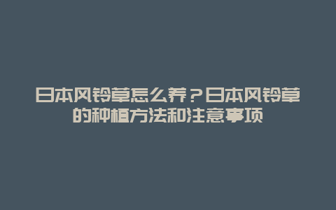 日本风铃草怎么养？日本风铃草的种植方法和注意事项