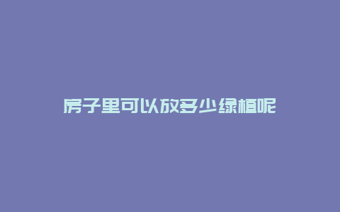 房子里可以放多少绿植呢