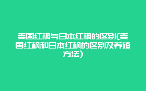 美国红枫与日本红枫的区别(美国红枫和日本红枫的区别及养殖方法)