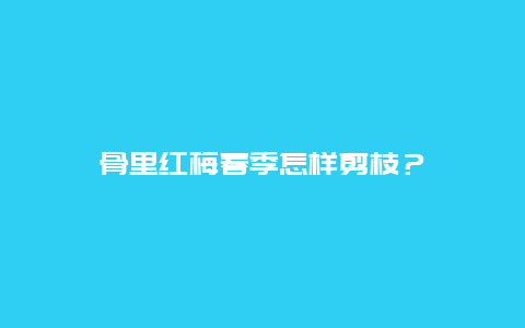 骨里红梅春季怎样剪枝？