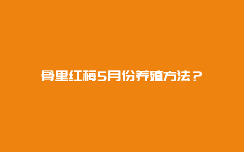 骨里红梅5月份养殖方法？