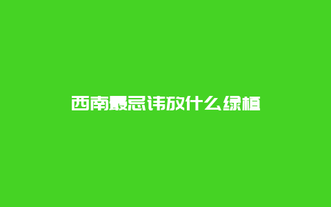 西南最忌讳放什么绿植