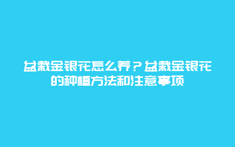 盆栽金银花怎么养？盆栽金银花的种植方法和注意事项