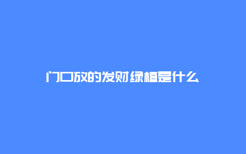 门口放的发财绿植是什么