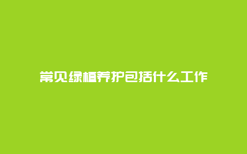 常见绿植养护包括什么工作