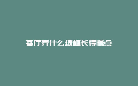 客厅养什么绿植长得慢点