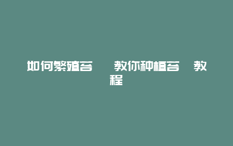 如何繁殖苔藓 教你种植苔藓教程