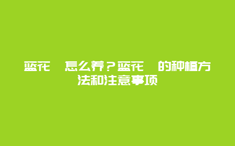 蓝花楹怎么养？蓝花楹的种植方法和注意事项