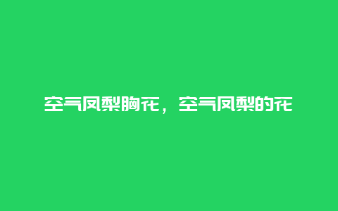 空气凤梨胸花，空气凤梨的花