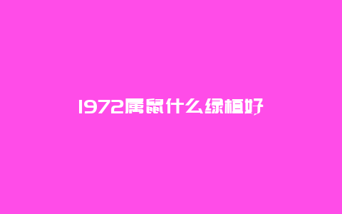 1972属鼠什么绿植好