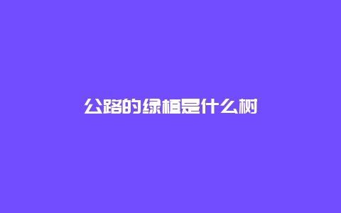 公路的绿植是什么树