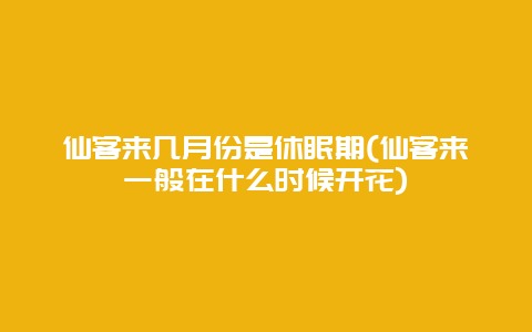 仙客来几月份是休眠期(仙客来一般在什么时候开花)