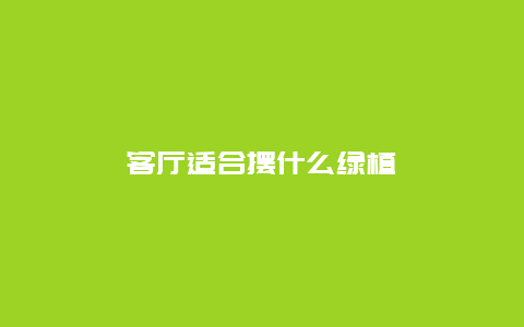 客厅适合摆什么绿植