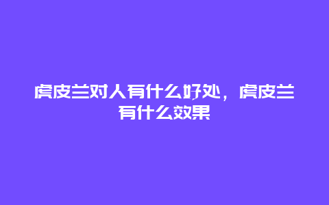 虎皮兰对人有什么好处，虎皮兰有什么效果