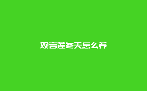 观音莲冬天怎么养