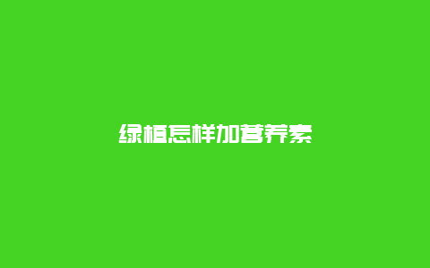 绿植怎样加营养素