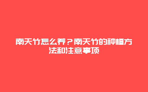 南天竹怎么养？南天竹的种植方法和注意事项