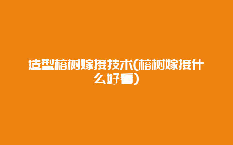 造型榕树嫁接技术(榕树嫁接什么好看)