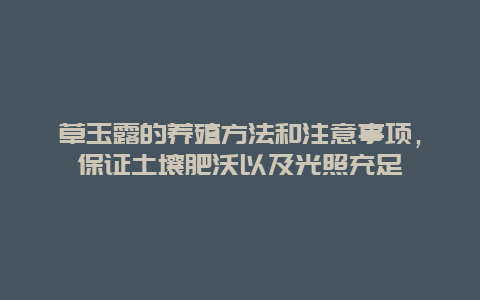 草玉露的养殖方法和注意事项，保证土壤肥沃以及光照充足