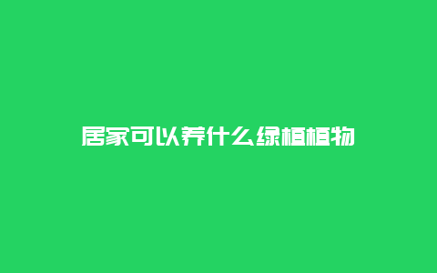 居家可以养什么绿植植物