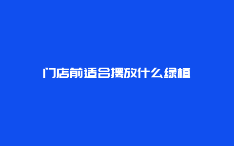 门店前适合摆放什么绿植