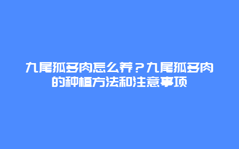 九尾狐多肉怎么养？九尾狐多肉的种植方法和注意事项