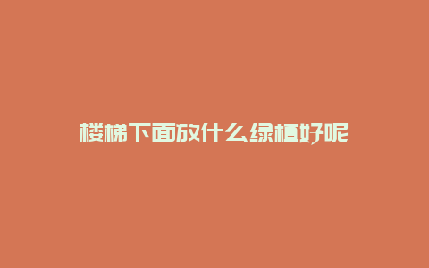 楼梯下面放什么绿植好呢