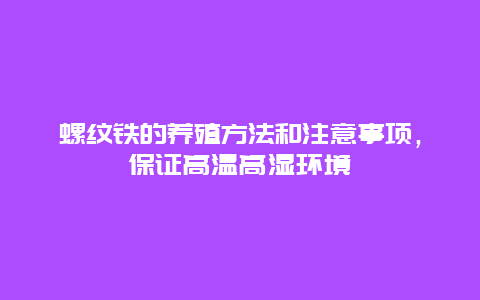 螺纹铁的养殖方法和注意事项，保证高温高湿环境