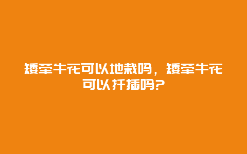 矮牵牛花可以地栽吗，矮牵牛花可以扦插吗?