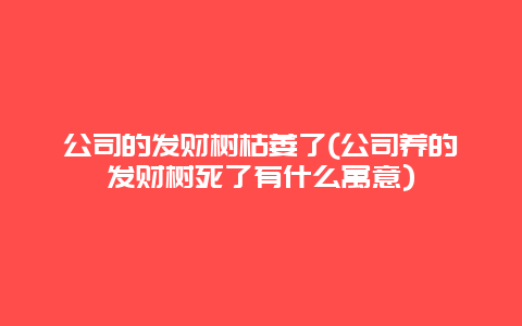 公司的发财树枯萎了(公司养的发财树死了有什么寓意)