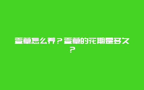 萱草怎么养？萱草的花期是多久？