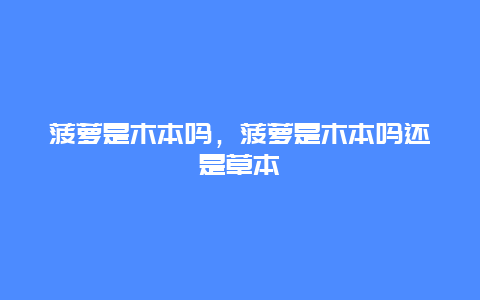 菠萝是木本吗，菠萝是木本吗还是草本