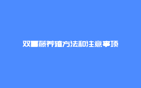 双喜藤养殖方法和注意事项