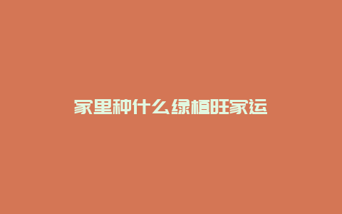 家里种什么绿植旺家运