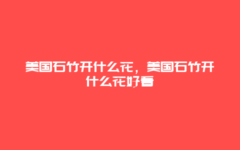 美国石竹开什么花，美国石竹开什么花好看