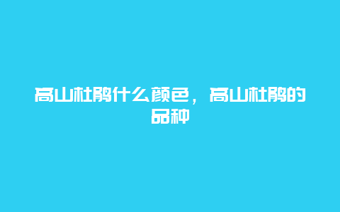 高山杜鹃什么颜色，高山杜鹃的品种