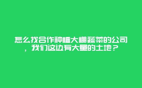 怎么找合作种植大棚蔬菜的公司，我们这边有大量的土地？