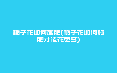 栀子花如何施肥(栀子花如何施肥才能花更多)