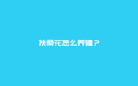 扶桑花怎么养殖？