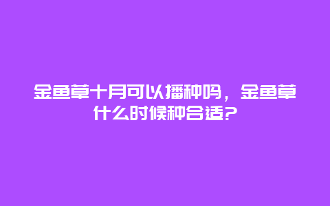 金鱼草十月可以播种吗，金鱼草什么时候种合适?