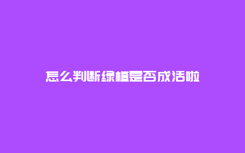 怎么判断绿植是否成活啦