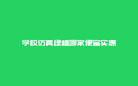 学校仿真绿植哪家便宜实惠