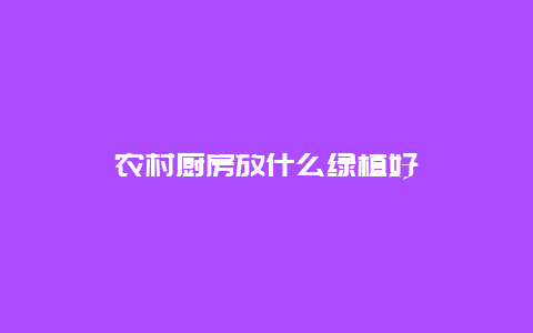 农村厨房放什么绿植好