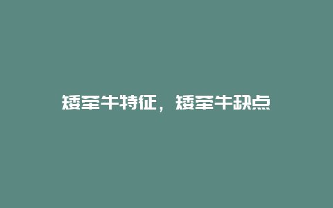 矮牵牛特征，矮牵牛缺点