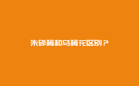 朱砂梅和乌梅花区别？