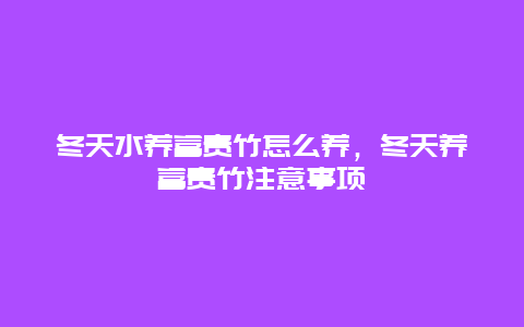 冬天水养富贵竹怎么养，冬天养富贵竹注意事项