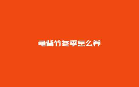 龟背竹冬季怎么养