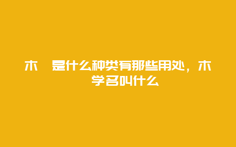 木槿是什么种类有那些用处，木槿学名叫什么