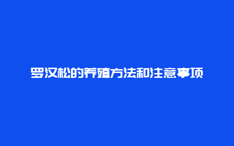 罗汉松的养殖方法和注意事项