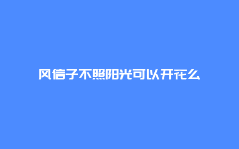 风信子不照阳光可以开花么